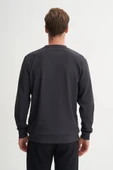 Cazador Antrasit Erkek Bisiklet Yaka Sweatshirt 51520 thumbnail 3