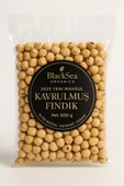 BlackSea Organics 2025 Yeni Mahsul Kavrulmuş Fındık 500 g  Doğal ve Katkısız Rize Fındığı thumbnail 1