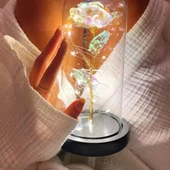 Fanus Teraryum Sonsuzluk Gül Işıklı thumbnail 1