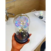 Fanus Teraryum Sonsuzluk Gül Işıklı thumbnail 2