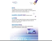 Forvits Lab Vision 30 Kapsül - 2