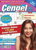 Fenomen Çengel Bulmaca 3 - 1