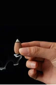 10 Adet Geri Akış Backflow Şelale Tütsü Konisi Tütsü Back 5 Çeşit Karışık - 2