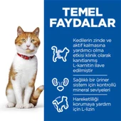 Hill's Hill’s SCIENCE PLAN Sterilised Somon Balıklı Kısırlaştırılmış Kedi Maması 1,5 Kg - 3