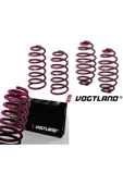 Vogtland Bmw e90 spor helezon yayı 40-25mm - 1