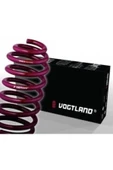 Vogtland Bmw e90 spor helezon yayı 40-25mm - 2