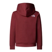The North Face TEEN DREW PEAK PULLOVER HOODIE Genç Çocuk Sweatshirt NF0A8EHH0VO1 thumbnail 2