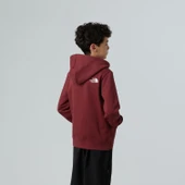 The North Face TEEN DREW PEAK PULLOVER HOODIE Genç Çocuk Sweatshirt NF0A8EHH0VO1 thumbnail 4