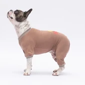 Pawstar Happy Teddy Küçük Irk Köpek Penye Tulum Pijama - 4