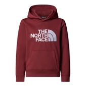 The North Face TEEN DREW PEAK PULLOVER HOODIE Genç Çocuk Sweatshirt NF0A8EHH0VO1 thumbnail 1