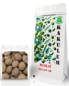 Kakulem SERTİFİKALI 100 Gr Tane Muskat Küçük Hindistan Cevizi - 1