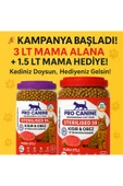 PROCANİNE 38 KUZU ETLİ KISIR KEDİ MAMASI 3 LT - 2