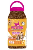 Professional Ton Balıklı & Karidesli Kitten Baby Yavru Kedi Maması 5 Lt - 1