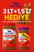 PROCANİNE 38 KUZU ETLİ KISIR KEDİ MAMASI 3 LT - 1