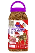 Az Tahıllı Hypoallergenic Kuzu Etli Kısır   Obez Sterilised Yetişkin Kedi Maması 5 lt - 1