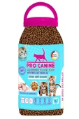 Professional Tavuklu & Karidesli Kitten Kedi Maması 5 Lt - 2
