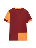 Galatasaray Puma 2025/2026 Yetişkin Parçalı İç Saha Taraftar Forma thumbnail 4