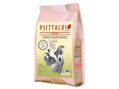 PİSTTACUS PARROT MAINTENANCE 3kg - 2