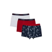 Erkek Çocuk 3'lü Boxer thumbnail 4