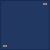 GÜZ | YAZ SERİNLİĞİ EŞARP 90 x 90  GYSEDÜZ - 4