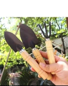 3 Parça Bitki Hobi Seti - Bahçe Saksı Sukulent  Bakım Çapa-Tırmık-Kürek EVV-82955Y thumbnail 3