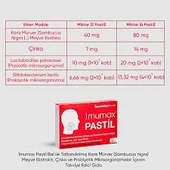 Imumax 12 Pastil thumbnail 2