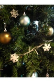 FK Filament Kar Tanesi Yılbaşı Ağacı Süsü 5 Adet thumbnail 2