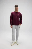 Ellesse Erkek Sweatshirt EM579-BRD thumbnail 4