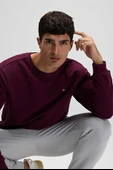 Ellesse Erkek Sweatshirt EM579-BRD thumbnail 2