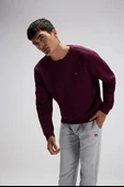 Ellesse Erkek Sweatshirt EM579-BRD thumbnail 1