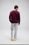Ellesse Erkek Sweatshirt EM579-BRD thumbnail 5