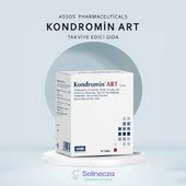 Kondromin Art 90 Tablet thumbnail 2