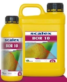 SCALEX BOR 10   1 LT - 1