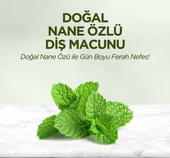 Eyüp Sabri Tuncer Doğal Diş Macunu 90 Gr Nane Özlü - 4