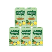 Doğadan Yeşil Çay Açai Ananaslı Bardak Poşey Çay x 5 Adet thumbnail 2