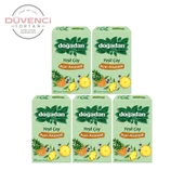 Doğadan Yeşil Çay Açai Ananaslı Bardak Poşey Çay x 5 Adet thumbnail 1