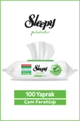 Sleepy Pine Yüzey Temizlik Havlusu&Mendili Çam Ferahlığı 100 Yaprak thumbnail 1