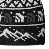 The North Face  Cabın Skı Tuke Bere NF0A8CH0HNF1 thumbnail 3