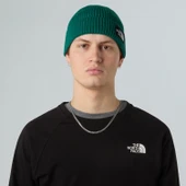 The North Face TNF Logo Box Cuffed Unisex Bere NF0A8CHENL11 thumbnail 2