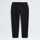 The North Face W BETA UTILITY BELTED PANT Kadın Pantolon NF0A8B61JK31 thumbnail 2