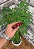Guard Siyah Hakiki Deri İçi Kırmızı Üçe Katlanır Dikey Model Spor Erkek Cüzdanı - XD-GRD829-ST thumbnail 3