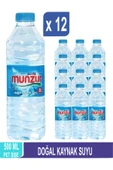 Munzur Doğal Kaynak Suyu 500 ML x 12 - 1
