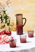 Foret Akrilik Kırılmaz 5 Parça Sürahi Seti Antrasit 1,5 lt - 9