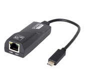 ZR203 Usb 3.0 1011 Type-C Ethernet Çevirici - 1