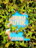 Organik Fındık - Doğal Fındık - Kabuklu Giresun Fındığı - 1