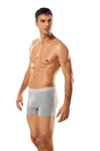 LitaeTrend 3 adet Tutku Likralı Erkek Gri Boxer 0114 - 1