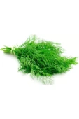 LitaeTrend Dere Otu Tohumu 10 Gr - 3