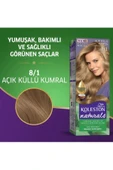 LitaeTrend Naturals Saç Boyası Açık Küllü Kumral 8/1 thumbnail 2