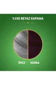 LitaeTrend Naturals Saç Boyası Kızıl Kestane 3/66 2x Paket thumbnail 2