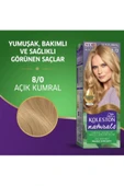 LitaeTrend Naturals Saç Boyası Açık Kumral 8/0 2x Paket thumbnail 4